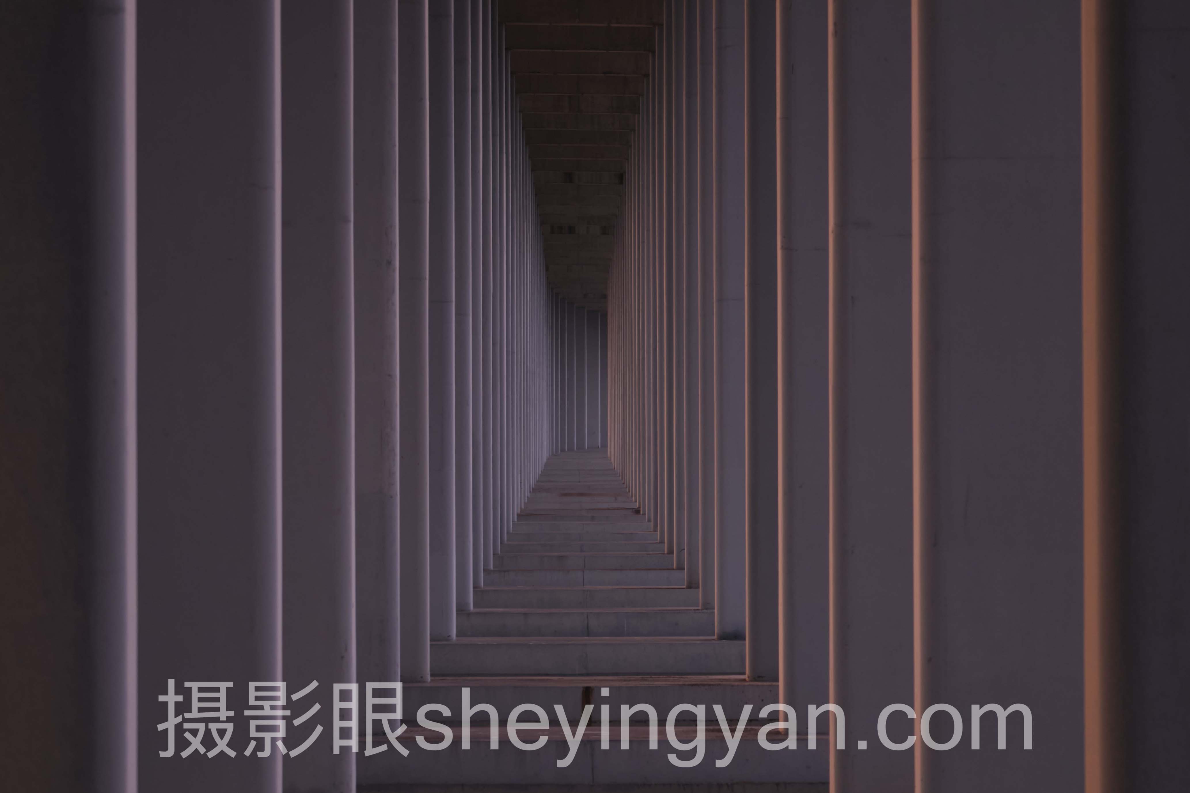 摄影新手入门书籍推荐怎么做？3个真实案例告诉你答案