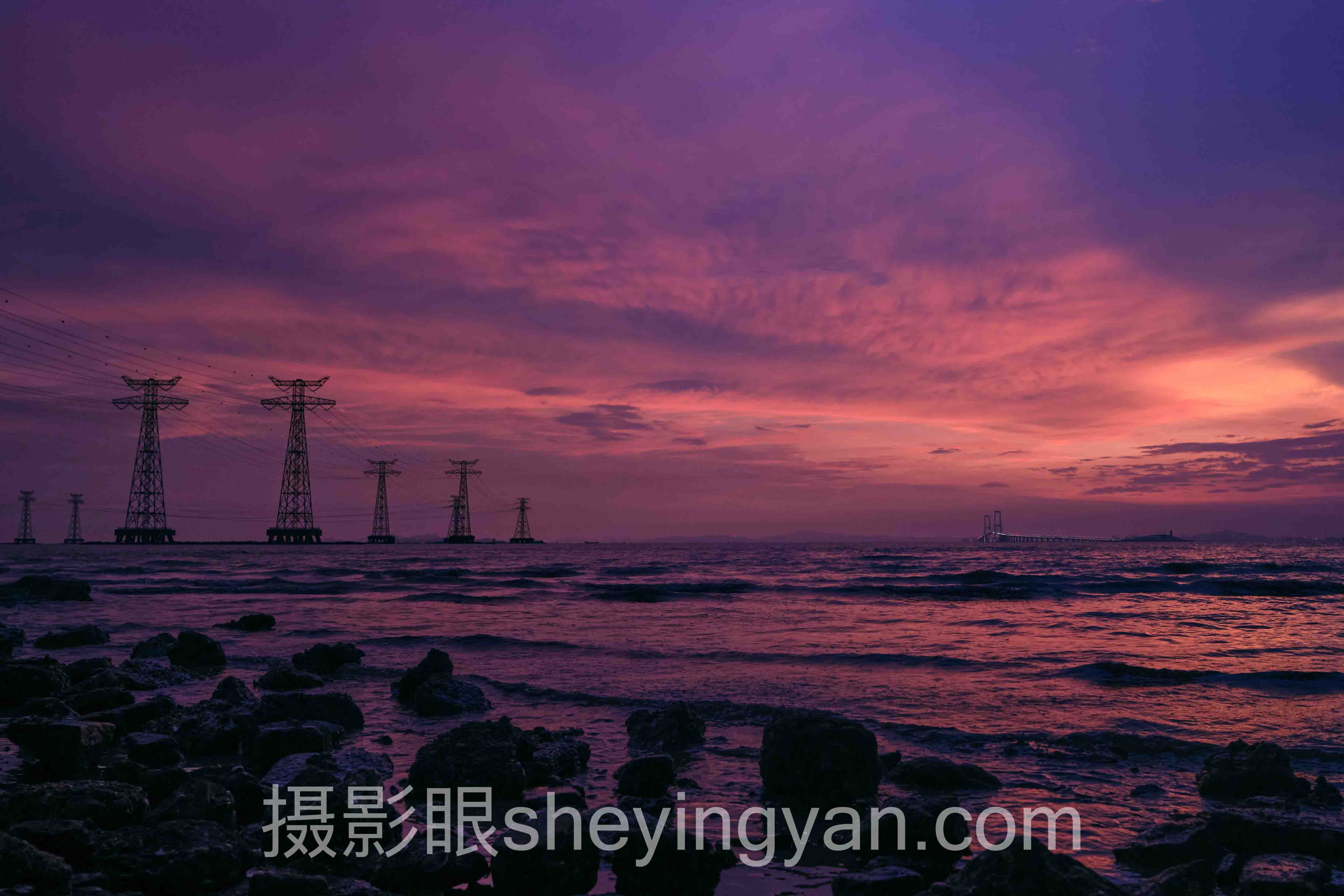 拍花朵特写技巧怎么做？3个案例告诉你答案