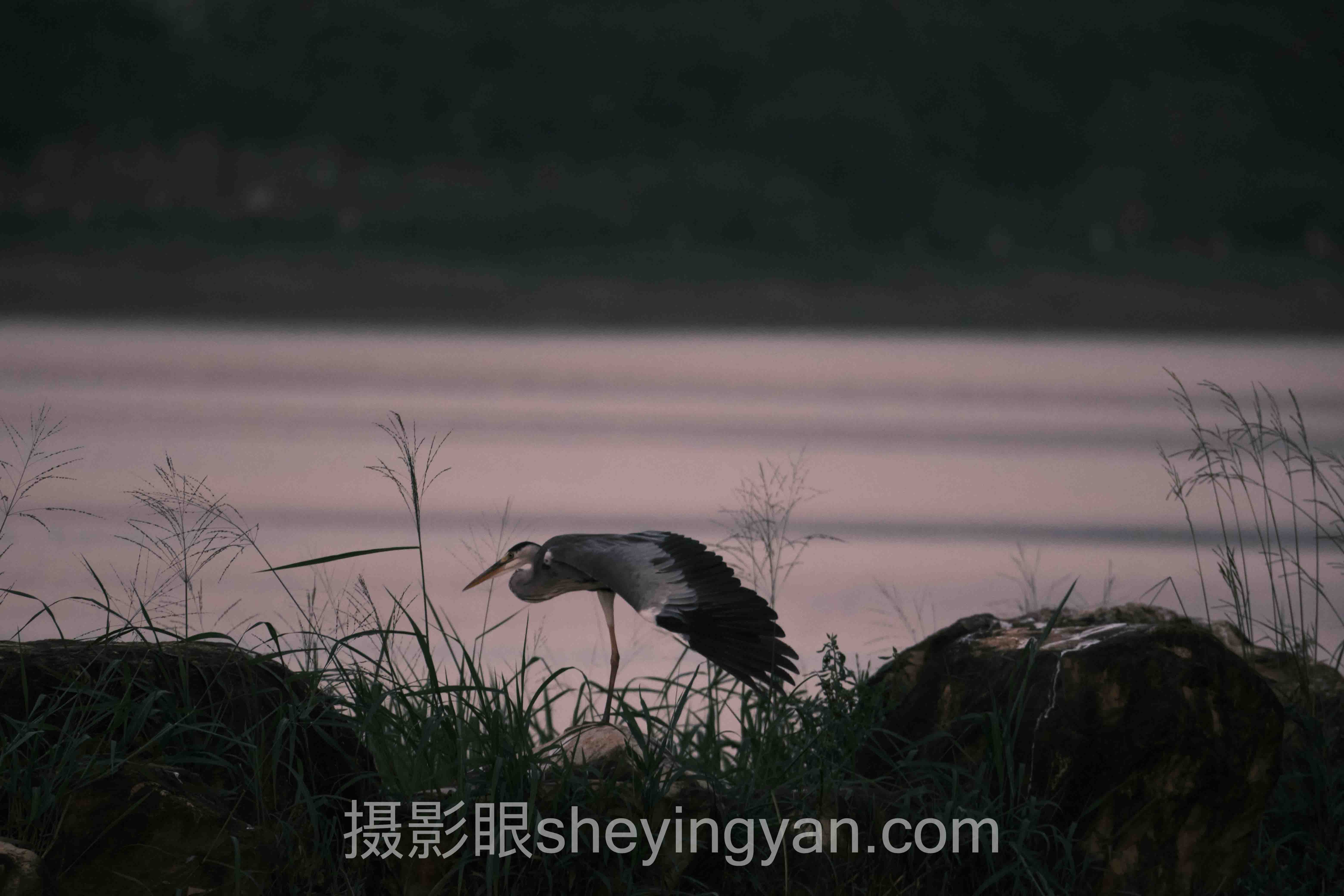 摄影进步书籍推荐怎么用？3个案例拆解高效进阶法