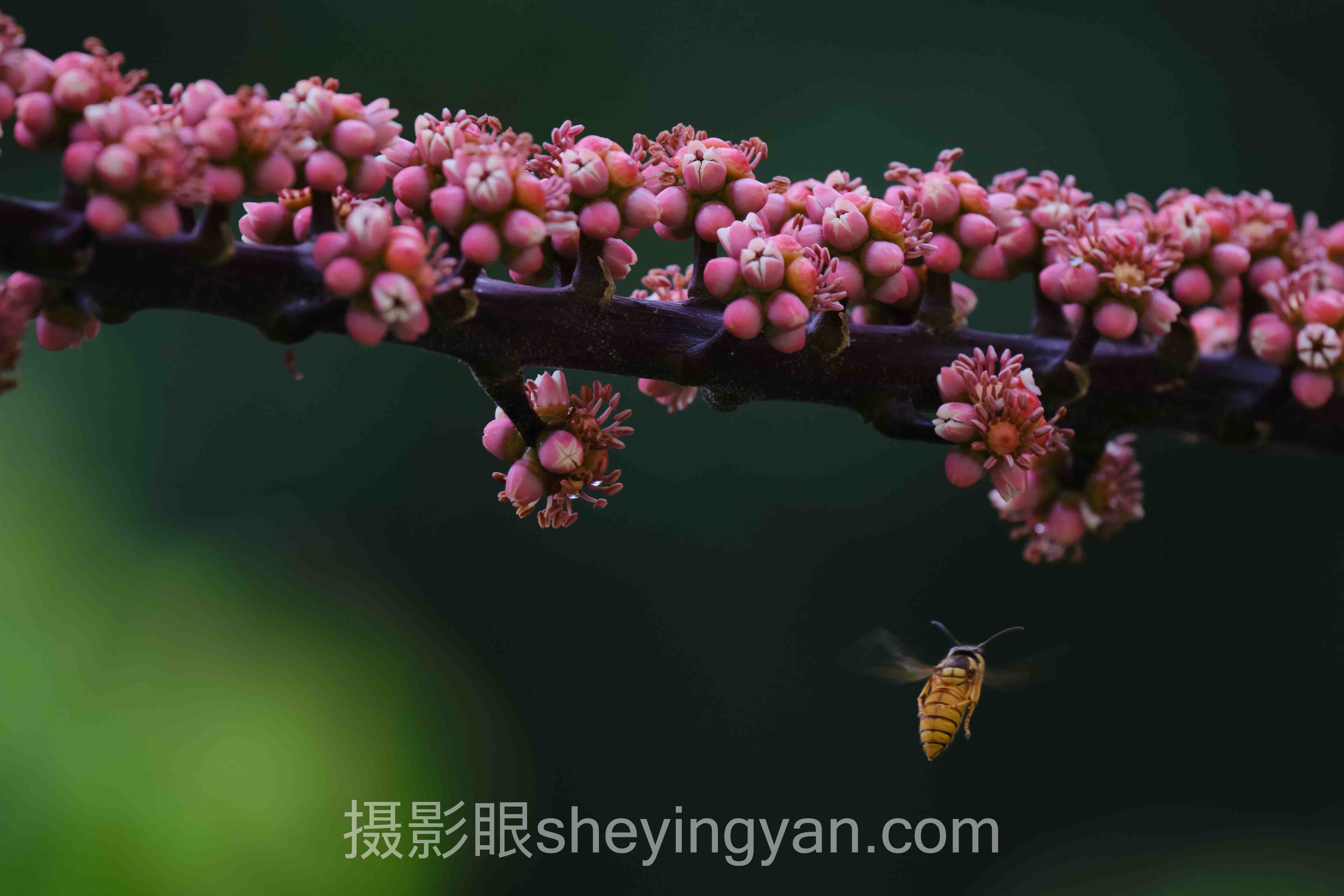 摄影后期处理能弥补随手拍吗实战拆解：3个案例的共同规律